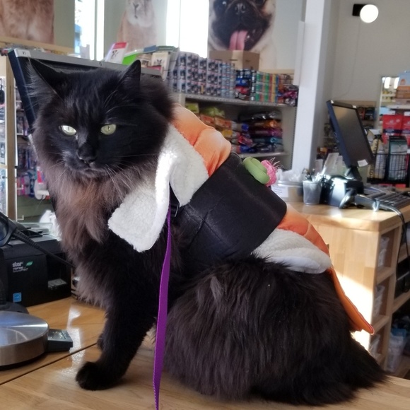 Meet your Posher, Caterina - Picture 7 of 8